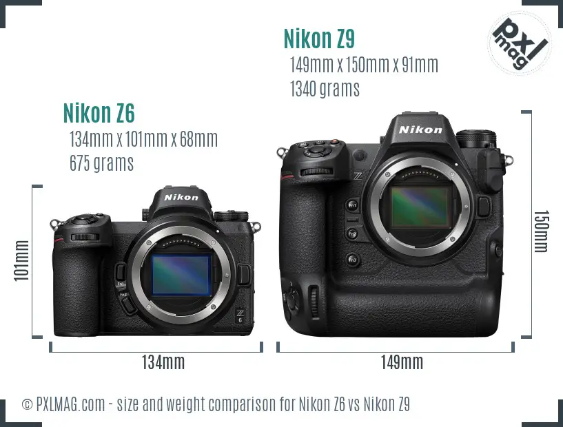 Nikon Z6 vs Nikon Z9 size comparison