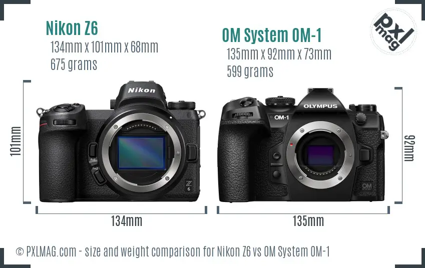 Nikon Z6 vs OM System OM-1 size comparison
