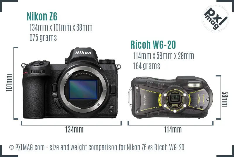 Nikon Z6 vs Ricoh WG-20 size comparison