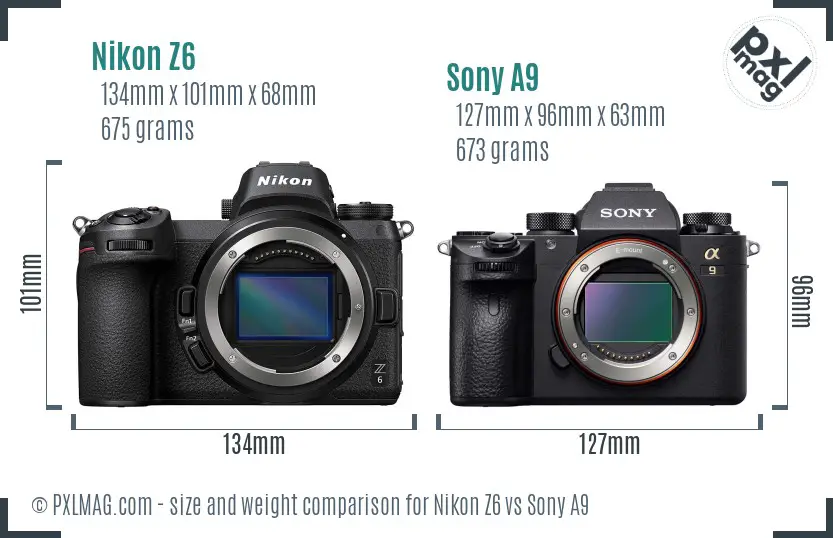 Nikon Z6 vs Sony A9 size comparison