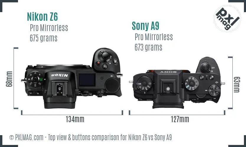 Nikon Z6 vs Sony A9 top view buttons comparison