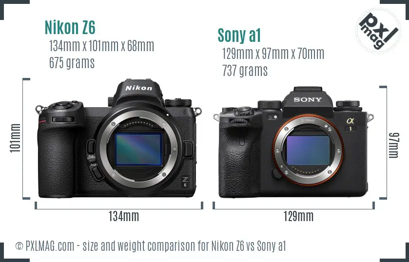 Nikon Z6 vs Sony a1 size comparison