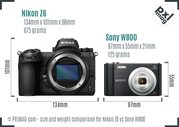 Nikon Z6 vs Sony W800 size comparison