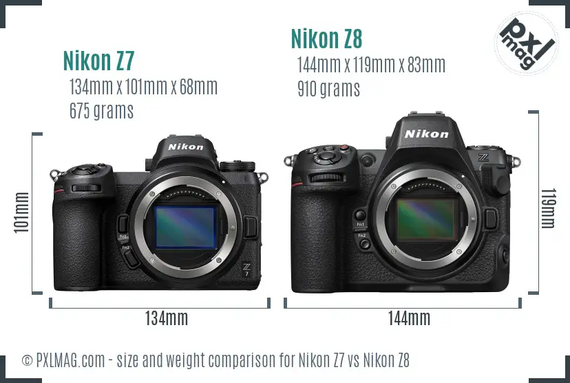 Nikon Z7 vs Nikon Z8 size comparison
