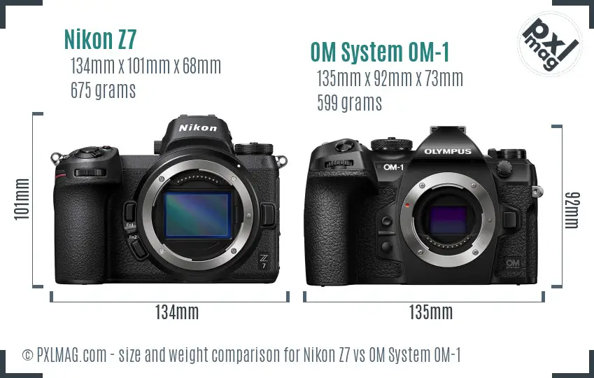 Nikon Z7 vs OM System OM-1 size comparison