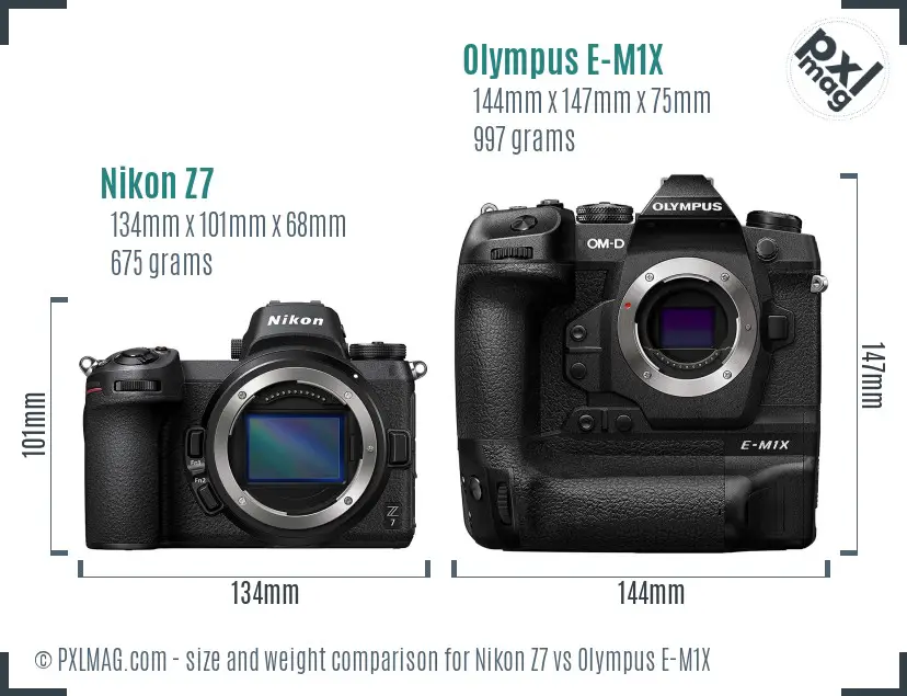 Nikon Z7 vs Olympus E-M1X size comparison
