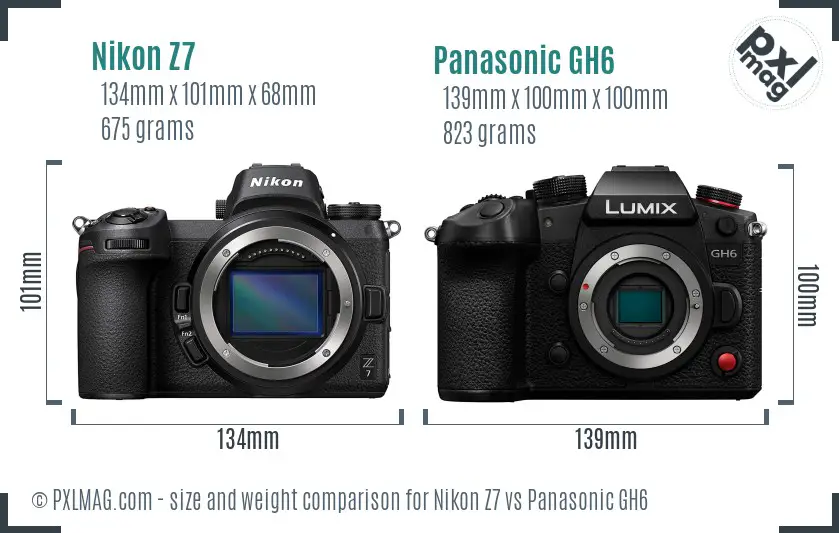Nikon Z7 vs Panasonic GH6 size comparison