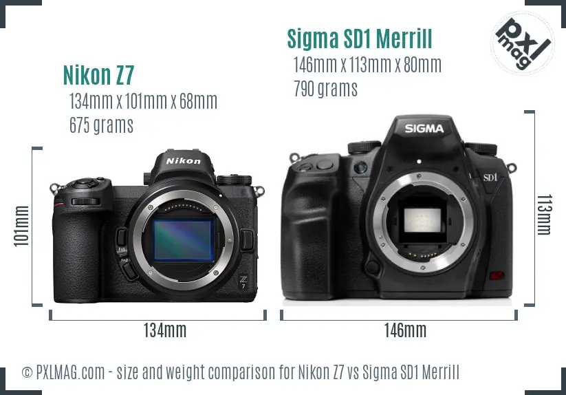 Nikon Z7 vs Sigma SD1 Merrill size comparison