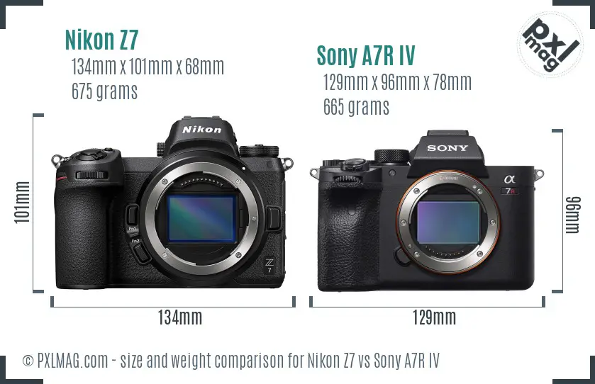 Nikon Z7 vs Sony A7R IV size comparison