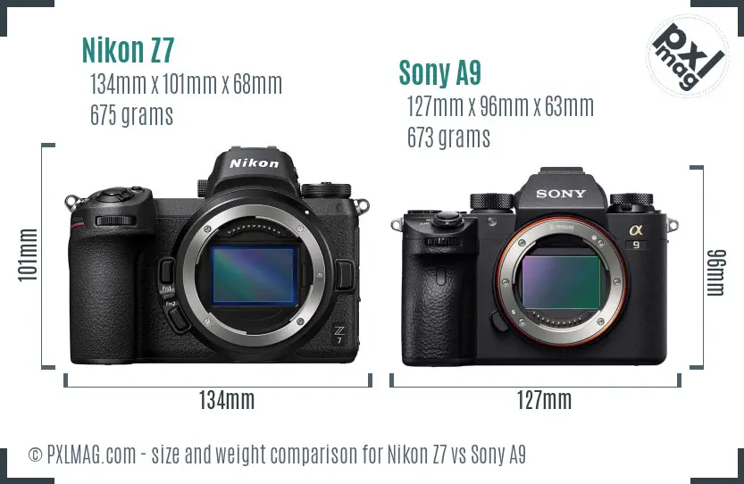 Nikon Z7 vs Sony A9 size comparison