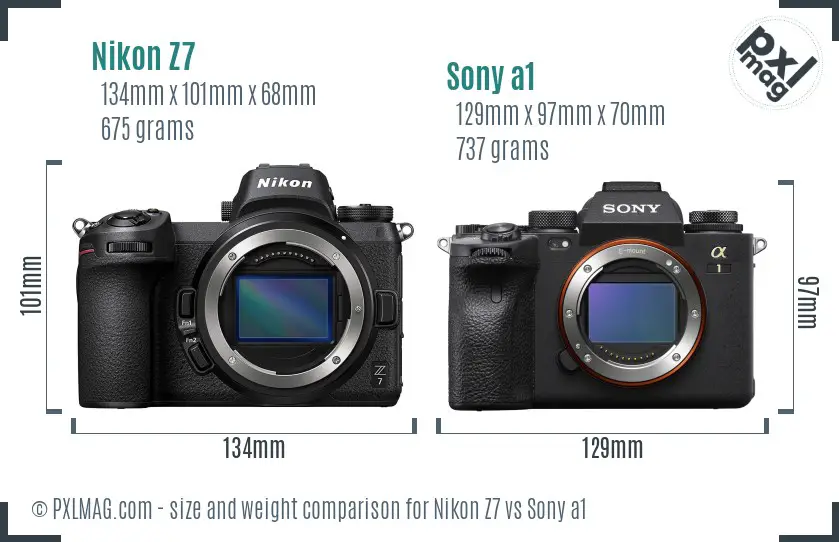 Nikon Z7 vs Sony a1 size comparison