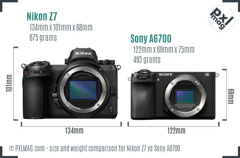 Nikon Zf vs Nikon Z7 Detailed Comparison