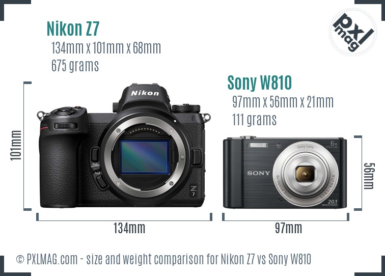 Nikon Z7 vs Sony W810 size comparison