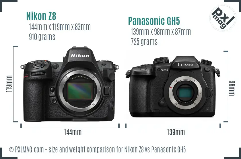 Nikon Z8 vs Panasonic GH5 size comparison