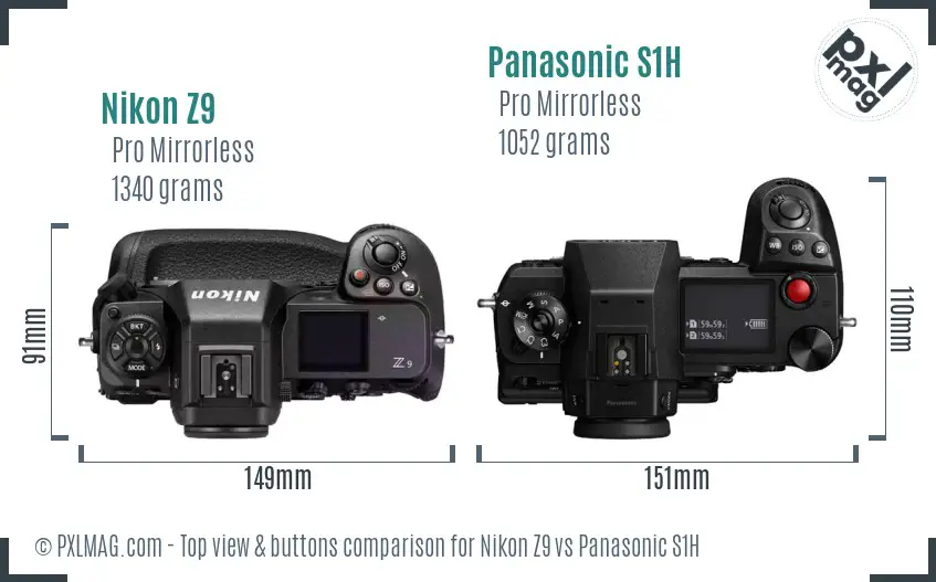 Nikon Z9 vs Panasonic S1H top view buttons comparison