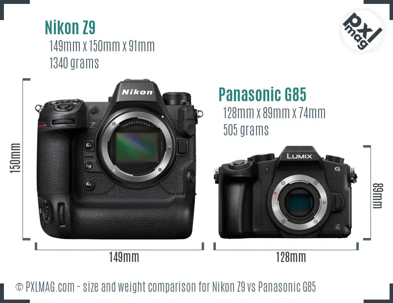 Nikon Z9 vs Panasonic G85 size comparison