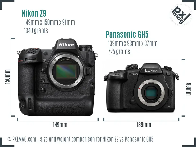 Nikon Z9 vs Panasonic GH5 size comparison