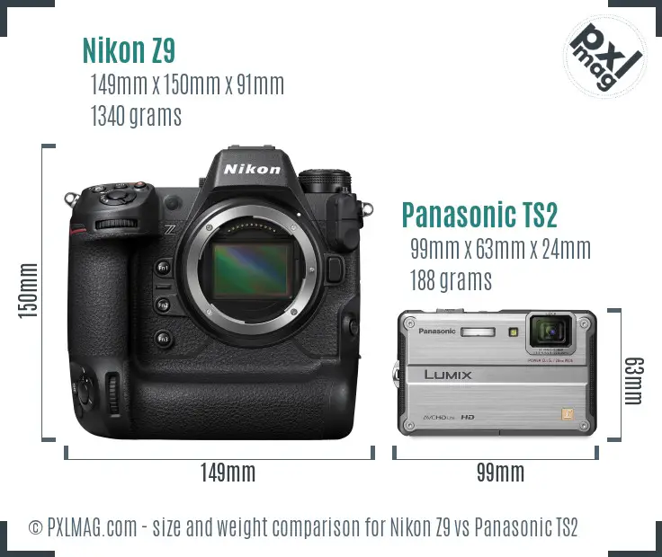 Nikon Z9 vs Panasonic TS2 size comparison