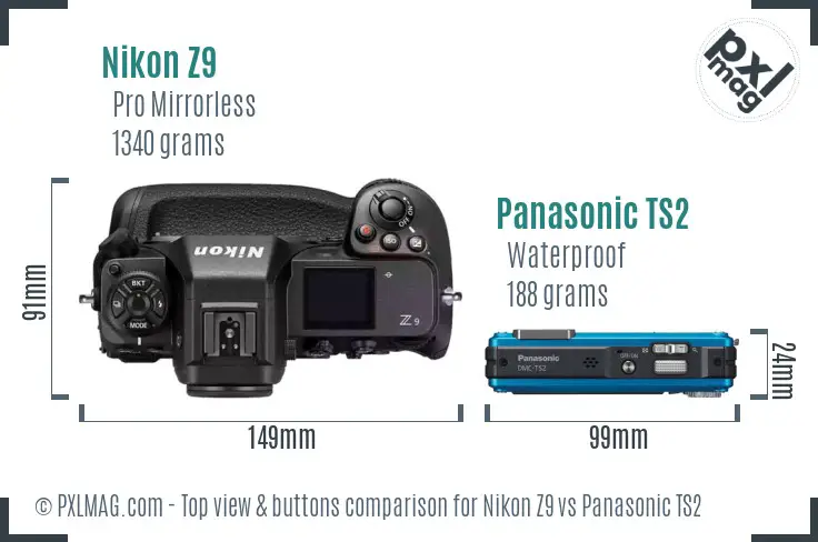 Nikon Z9 vs Panasonic TS2 top view buttons comparison