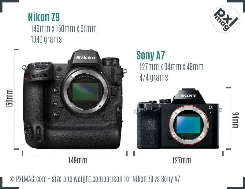 Nikon Z9 vs Sony A7 size comparison