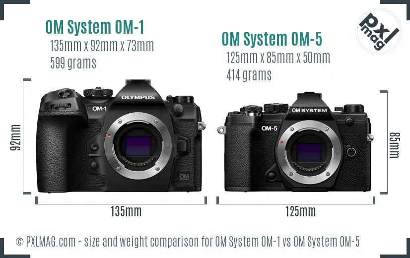 OM System OM-1 vs OM System OM-5 size comparison