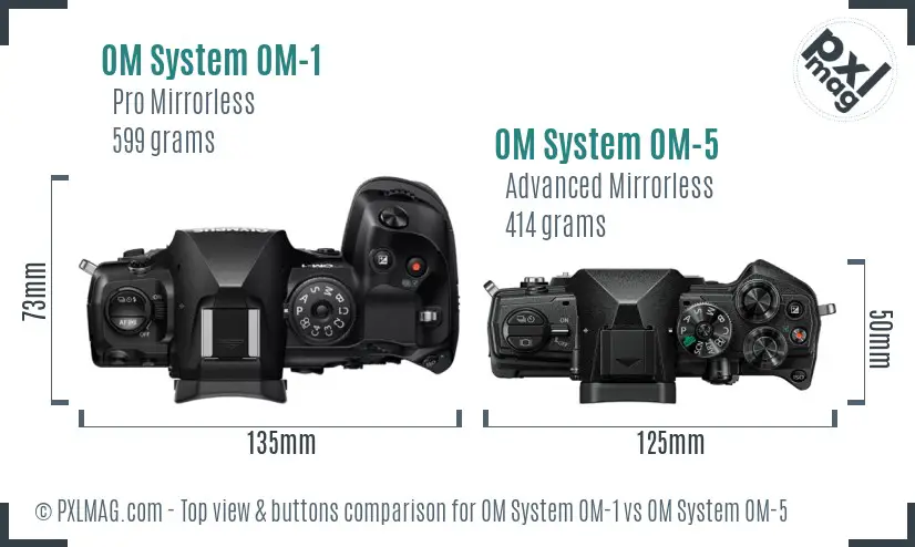 OM System OM-1 vs OM System OM-5 top view buttons comparison