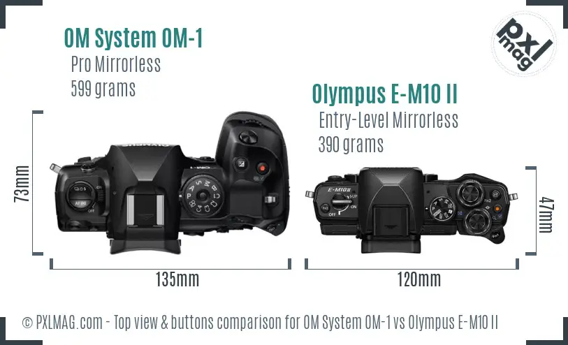 OM System OM-1 vs Olympus E-M10 II top view buttons comparison OM System OM-1 vs Olympus E-M10 II top view buttons comparison