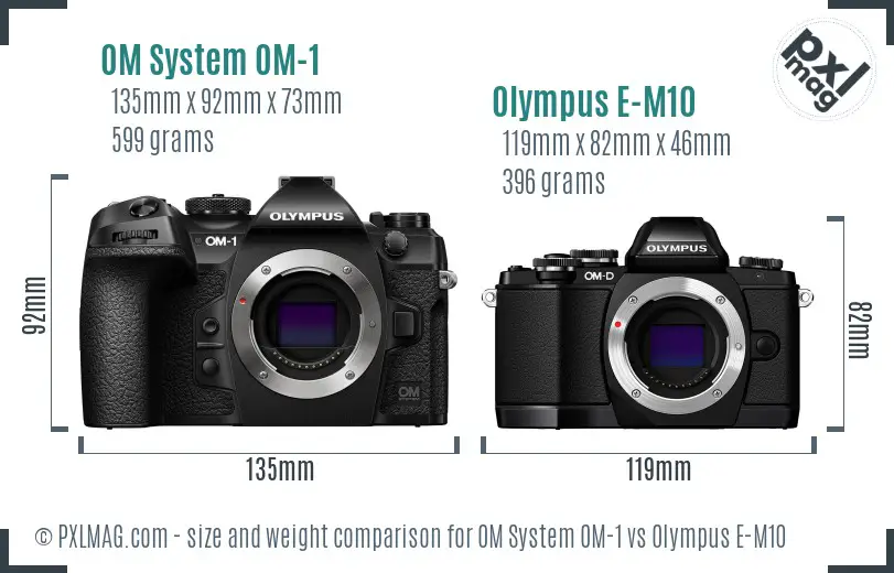 OM System OM-1 vs Olympus E-M10 size comparison