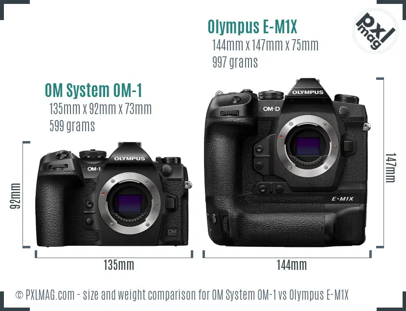 OM System OM-1 vs Olympus E-M1X size comparison