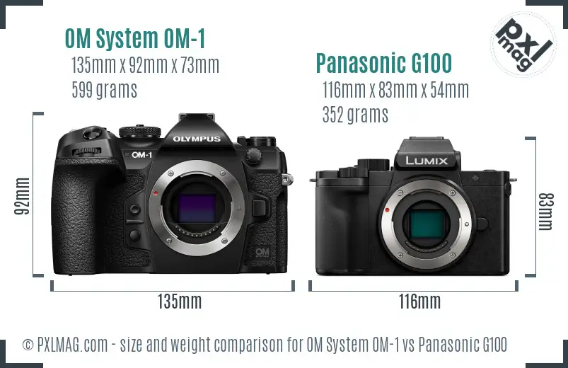 OM System OM-1 vs Panasonic G100 size comparison