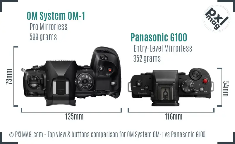 OM System OM-1 vs Panasonic G100 top view buttons comparison