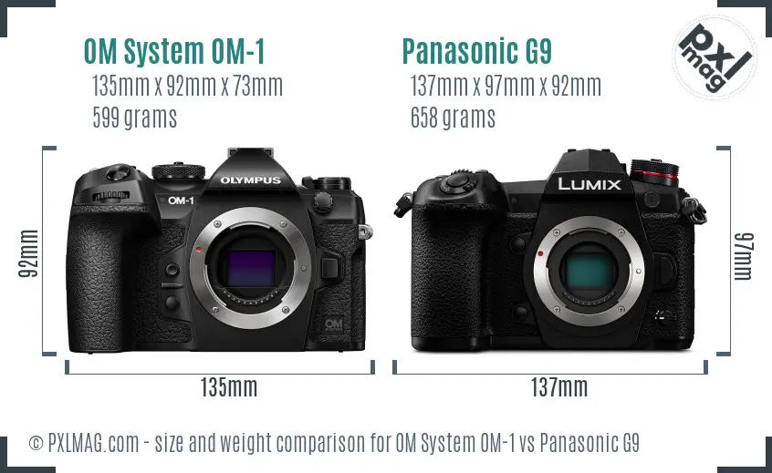 OM System OM-1 vs Panasonic G9 size comparison