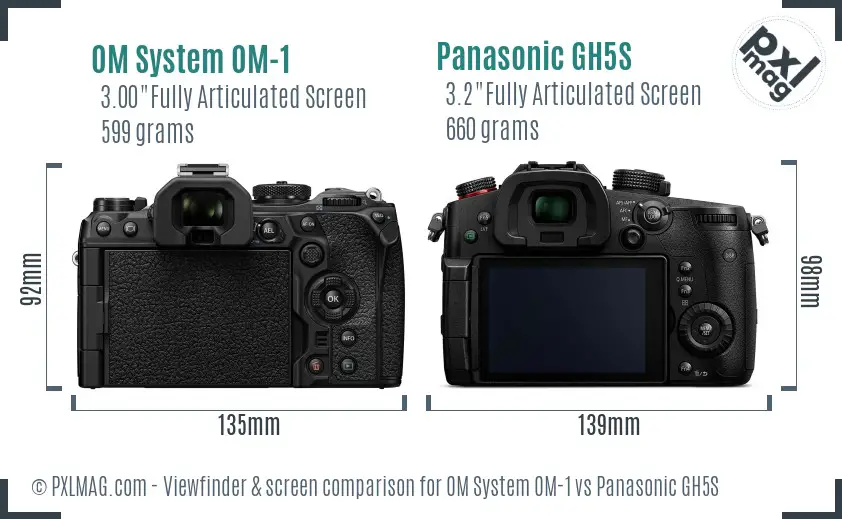 OM System OM-1 vs Panasonic GH5S Screen and Viewfinder comparison