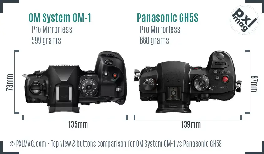 OM System OM-1 vs Panasonic GH5S top view buttons comparison