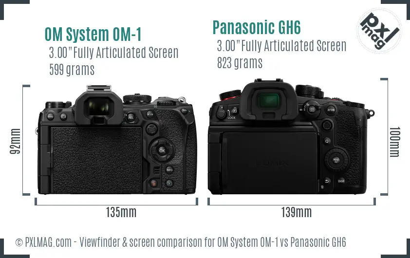 OM System OM-1 vs Panasonic GH6 Screen and Viewfinder comparison