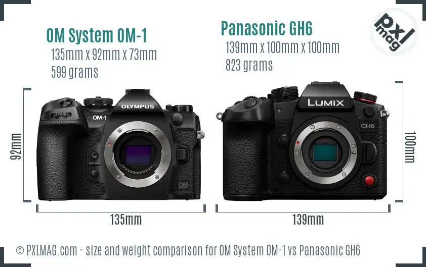 OM System OM-1 vs Panasonic GH6 size comparison