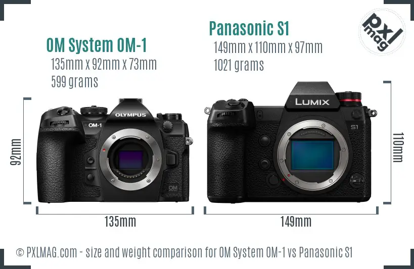 OM System OM-1 vs Panasonic S1 size comparison