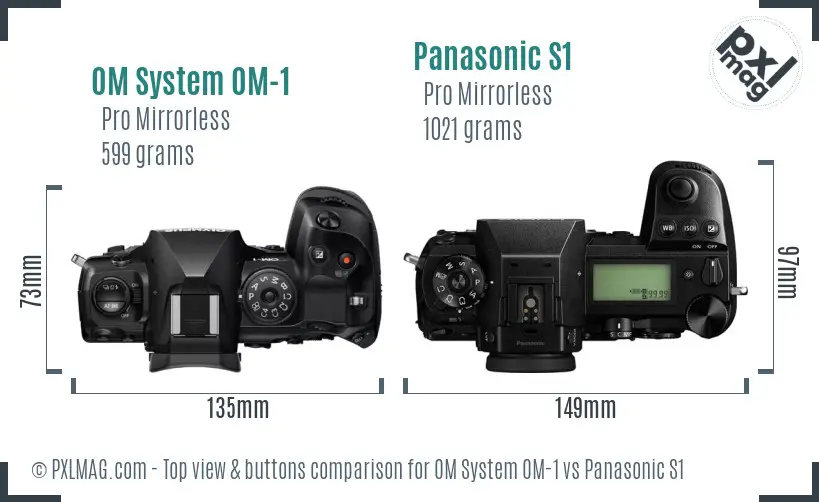 OM System OM-1 vs Panasonic S1 top view buttons comparison