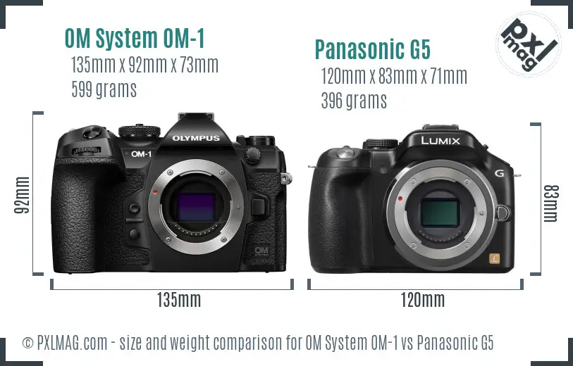 OM System OM-1 vs Panasonic G5 size comparison