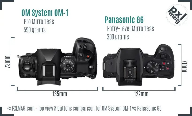 OM System OM-1 vs Panasonic G6 top view buttons comparison