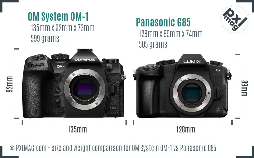 OM System OM-1 vs Panasonic G85 size comparison OM System OM-1 vs Panasonic G85 size comparison