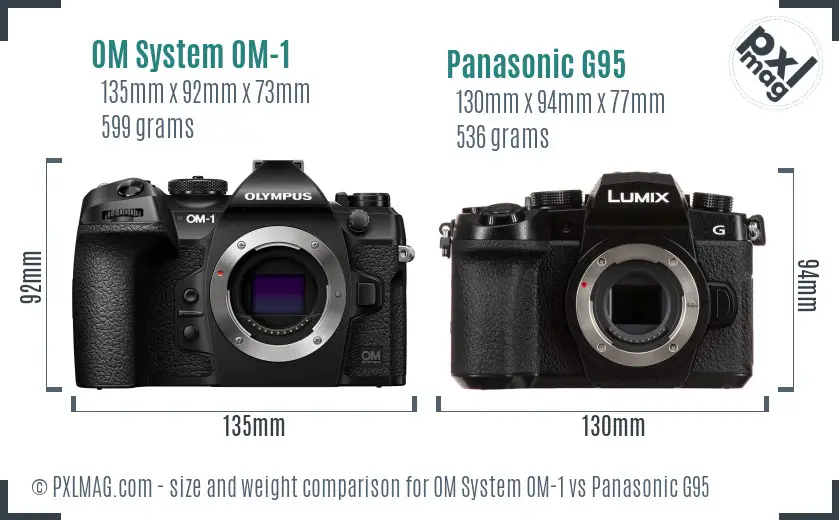 OM System OM-1 vs Panasonic G95 size comparison