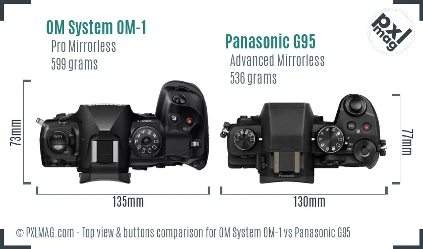 OM System OM-1 vs Panasonic G95 top view buttons comparison