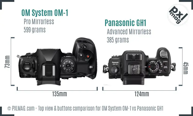 OM System OM-1 vs Panasonic GH1 top view buttons comparison OM System OM-1 vs Panasonic GH1 top view buttons comparison