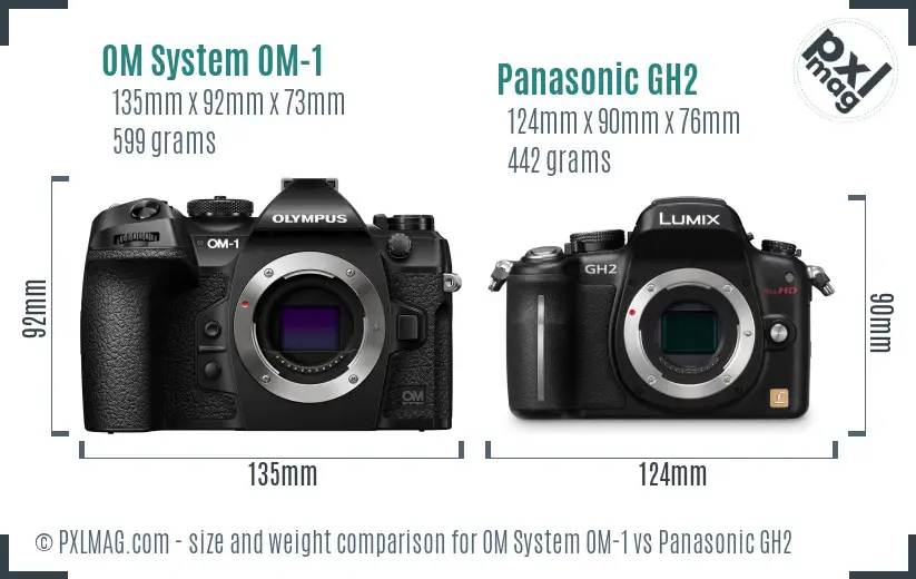 OM System OM-1 vs Panasonic GH2 size comparison