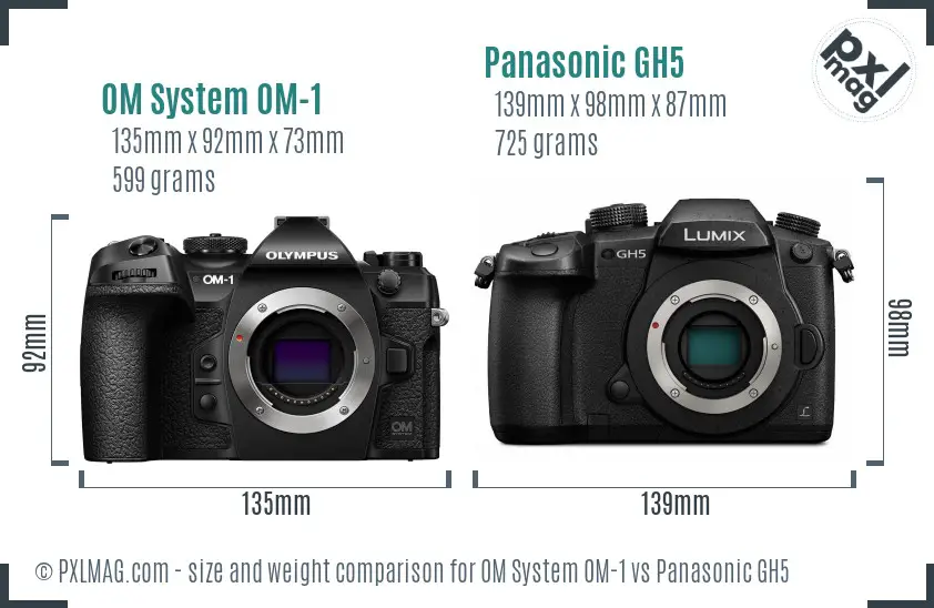OM System OM-1 vs Panasonic GH5 size comparison