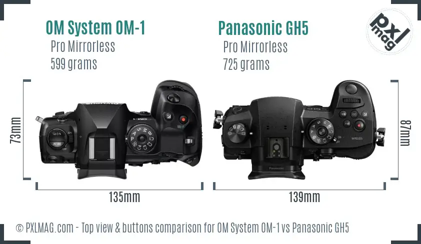 OM System OM-1 vs Panasonic GH5 top view buttons comparison