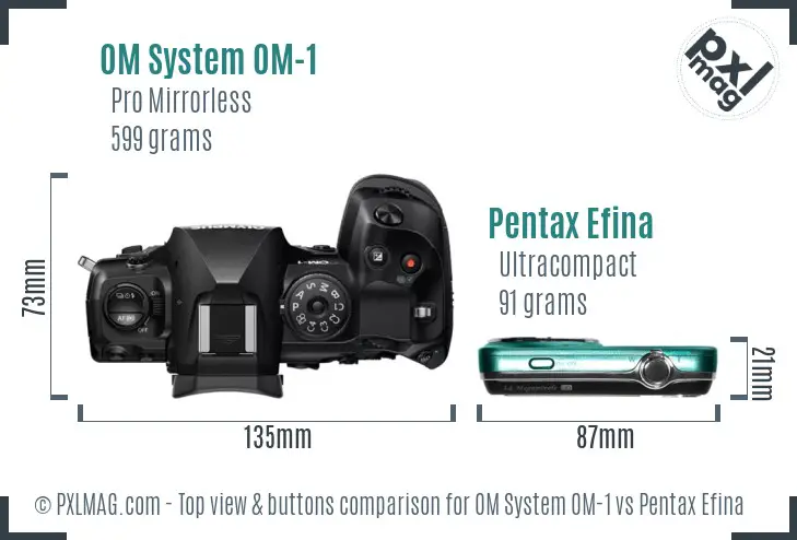 OM System OM-1 vs Pentax Efina top view buttons comparison