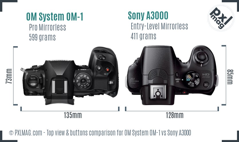 OM System OM-1 vs Sony A3000 top view buttons comparison