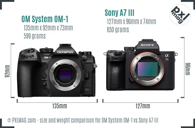 OM System OM-1 vs Sony A7 III size comparison